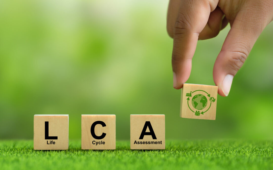 Unveiling the Power of Life Cycle Assessment in Business Sustainability
