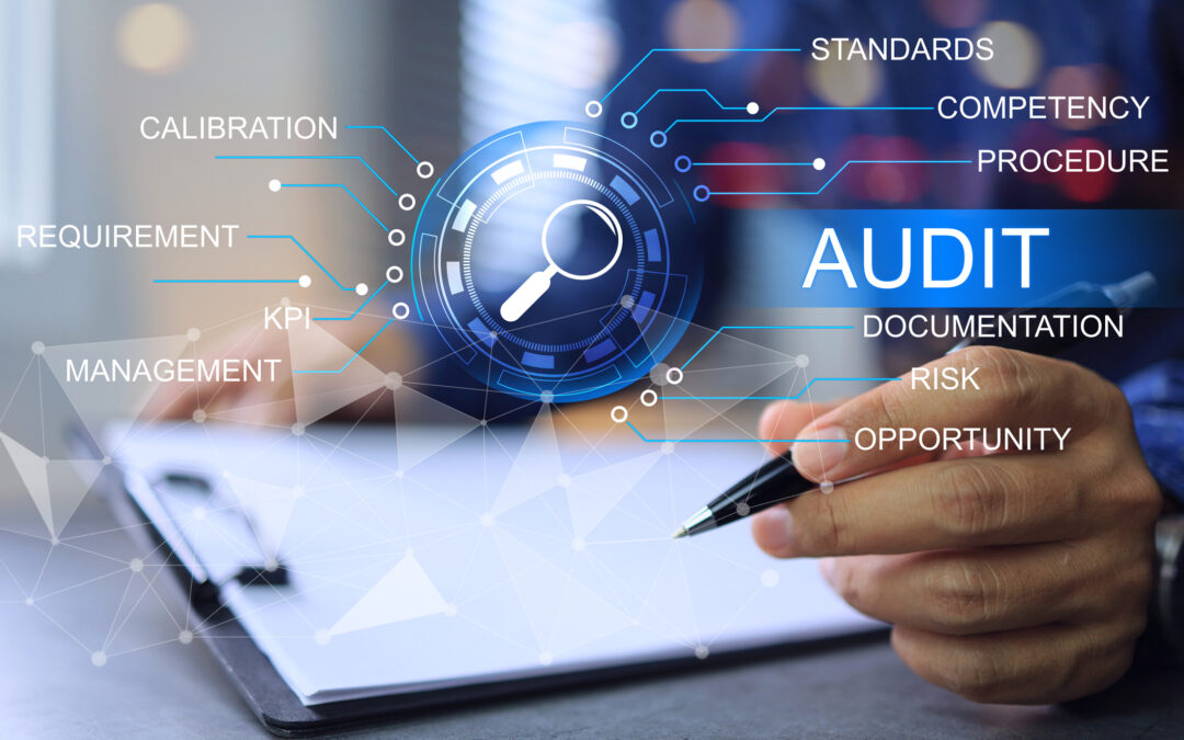 Navigating Health and Safety Audits: A Practical Guide